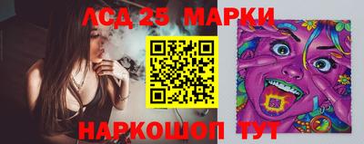 гашик Камышлов
