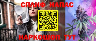 гашик Камышлов