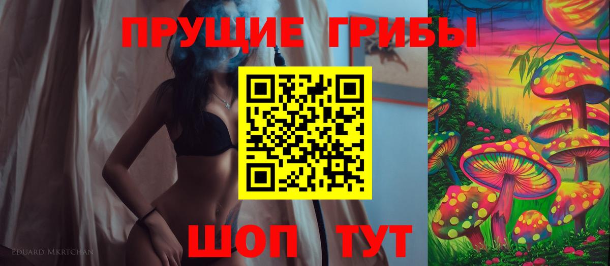 Галлюциногенные грибы Psilocybine cubensis Карпинск