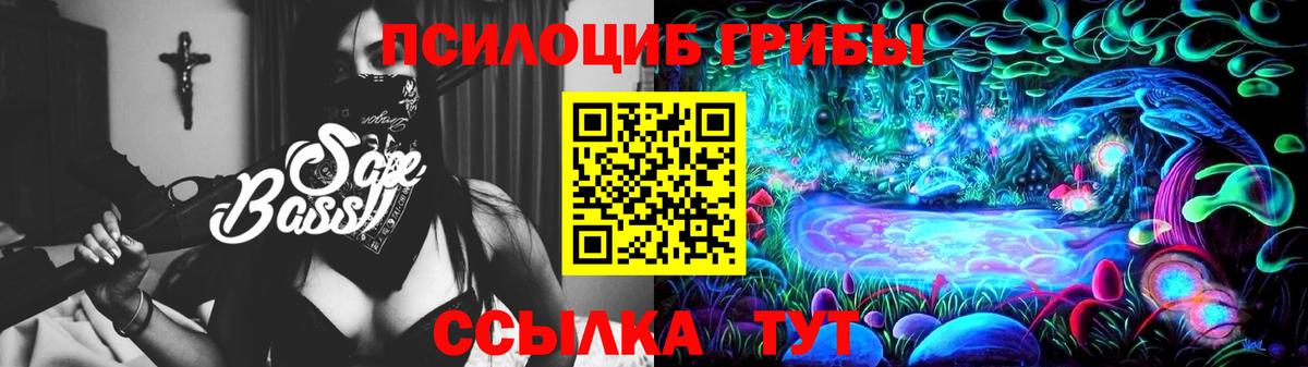 Псилоцибиновые грибы GOLDEN TEACHER  Галлюциногенные грибы мицелий  Карпинск  Вход с VPN 